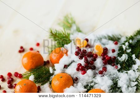 Tangerines and cranberries, copy space