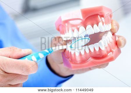 Dental malli ja Teethbrush