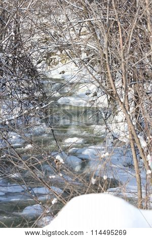 Stream in Winter
