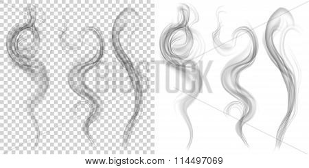 Set Of Translucent Gray Smoke. Transparency Only In Vector Format