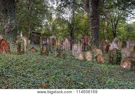 Old Jewish Cemetery