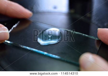 Hands Examining Samples