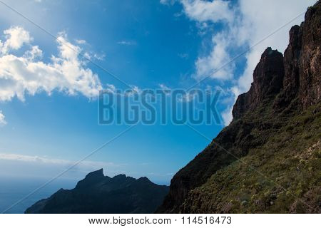 Century Plant Against Masca Village And Mountains, Tenerife, Canary Islands, Spain