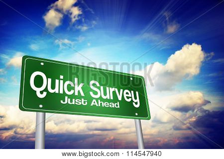 Quick Survey Green Road Sign, Business Concept