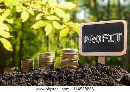 Time is money financial opportunity concept. Golden coins in soil  Chalkboard with Profit word on bl