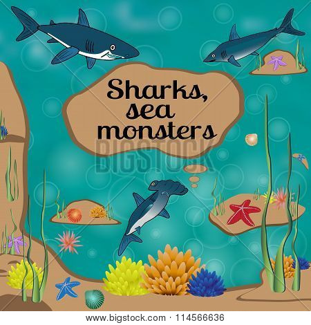 Shark
