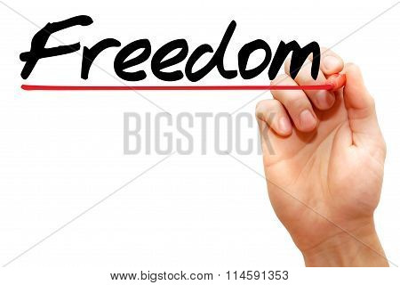 Hand Writing Freedom, Business Concept..