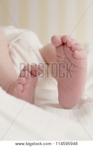Newborn Baby Feet On White Cloth Diaper