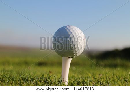 White Golf Ball on Tee Close Up