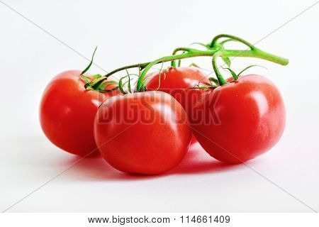 Delicious Fresh Tomatoes