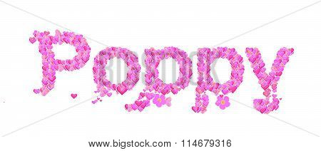 Poppy Female Name Set With Hearts Type Design