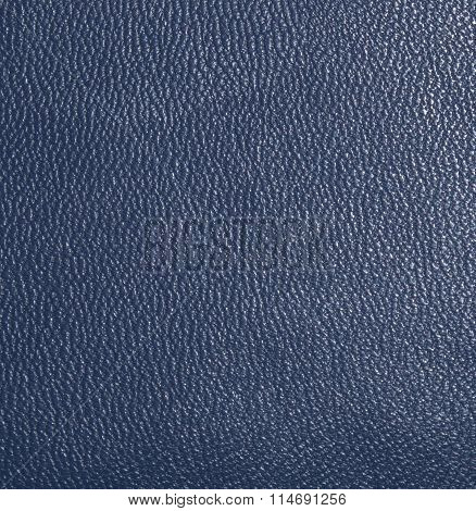 Dark blue skin, streaked. Leather texture. Closeup