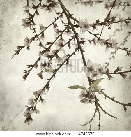 Textured Old Paper Background