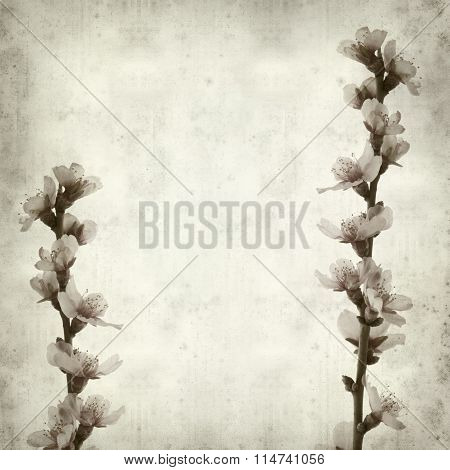 Textured Old Paper Background