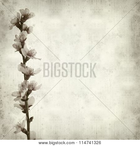 Textured Old Paper Background