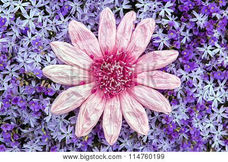 Paper Flower In Front Of A Purple Lilacbush