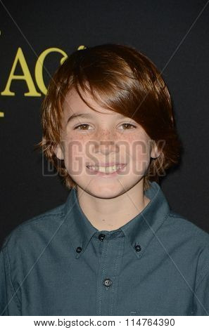 vLOS ANGELES - JAN 14:  Aiden Lovekamp at the Just Add Magic Amazon Premiere Screening at the ArcLight Hollywood Theaters on January 14, 2016 in Los Angeles, CA