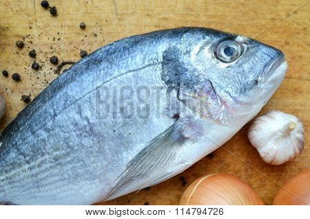 Uncooked fish dorado with garlic and onion