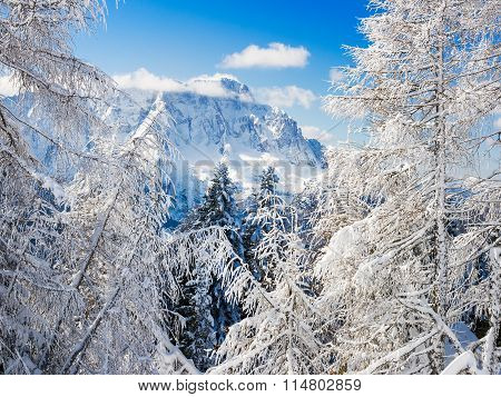 Winter Sunny Day