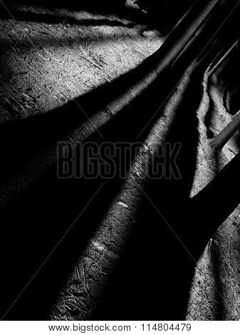 Abstraction In The Woods, A Play Of Light And Shadow I.