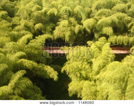 Pont