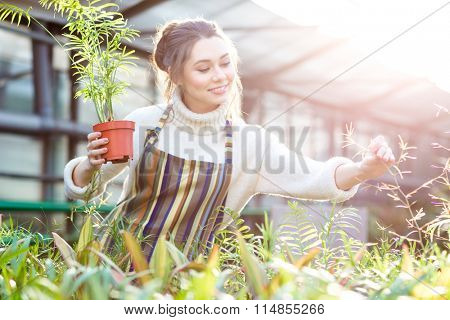 Smiling beautiful young female gardener in white sweater and striped apron taking care of plants and flowers in orangery