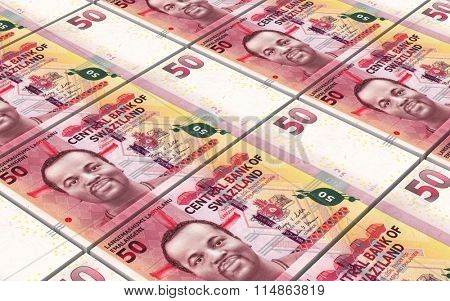 Swazi emalangeni bills stacked background. Computer generated 3D photo rendering.