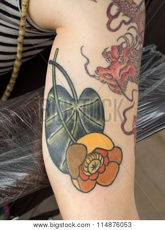 Coloured  Thrift-box Flower Tattoo On The Arm