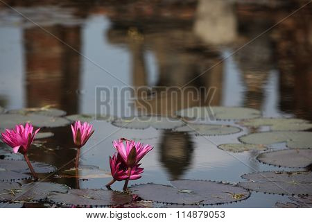 Asia Thailand Sukhothai Temple Mahathat