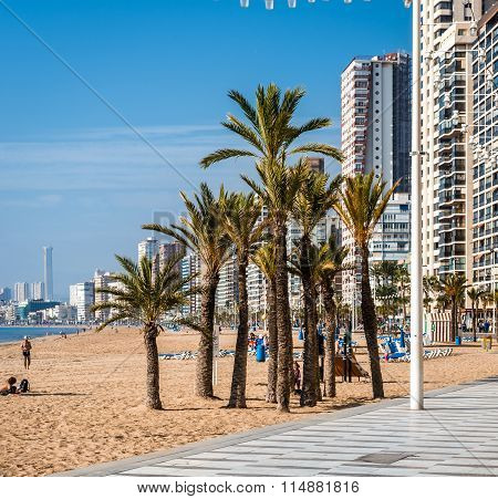 Beach Of Benidorm