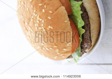 food photos of burger with fries on white background