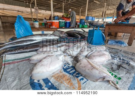 Squid At The Fish Market In Muttrah, Oman