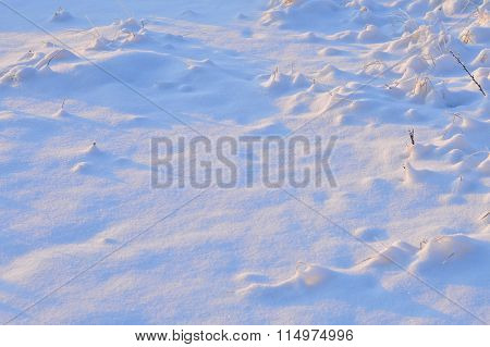 Cold Winter Weather All Vegetation Under The Snow