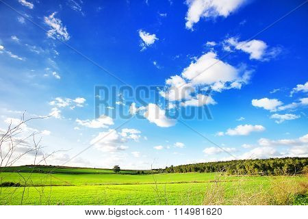 Beautiful landscape with a trees, clouds and blue sky