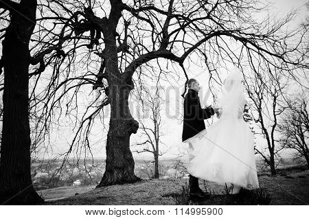 Young Wedding Couple On Winter Background Stone Landskape And Wall Of Old Castle