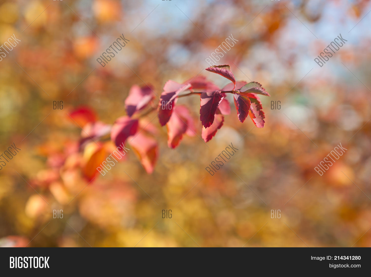 Autumn Day. Image & Photo (Free Trial) | Bigstock