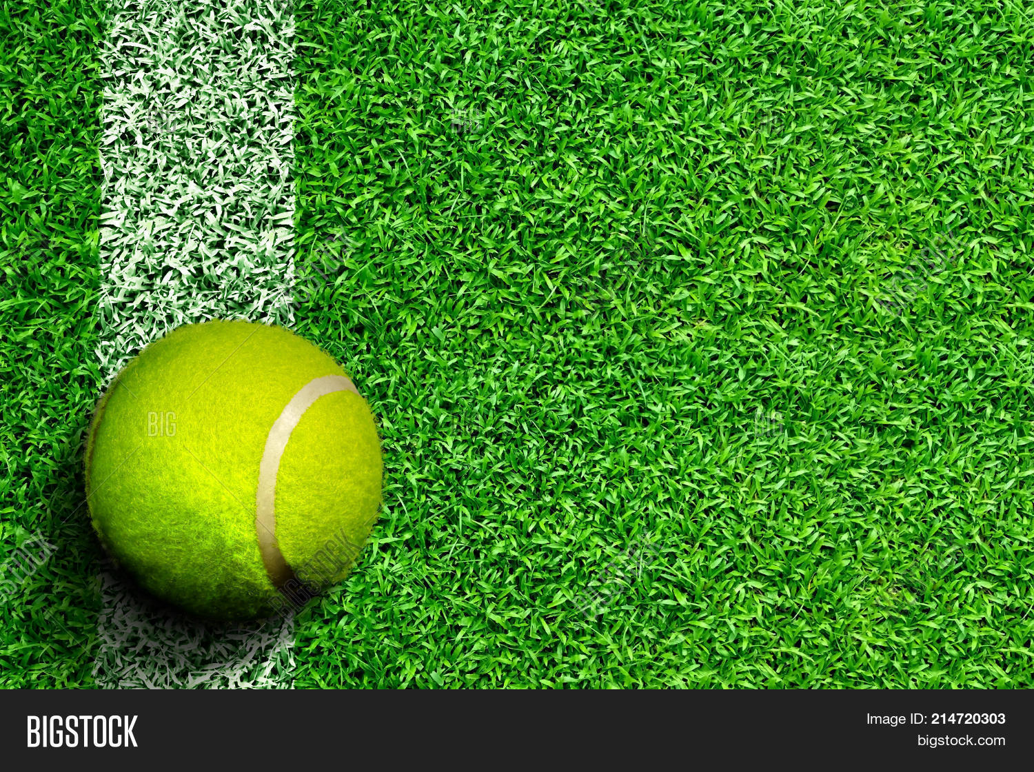 Tennis Ball On Grass Image & Photo (Free Trial) Bigstock
