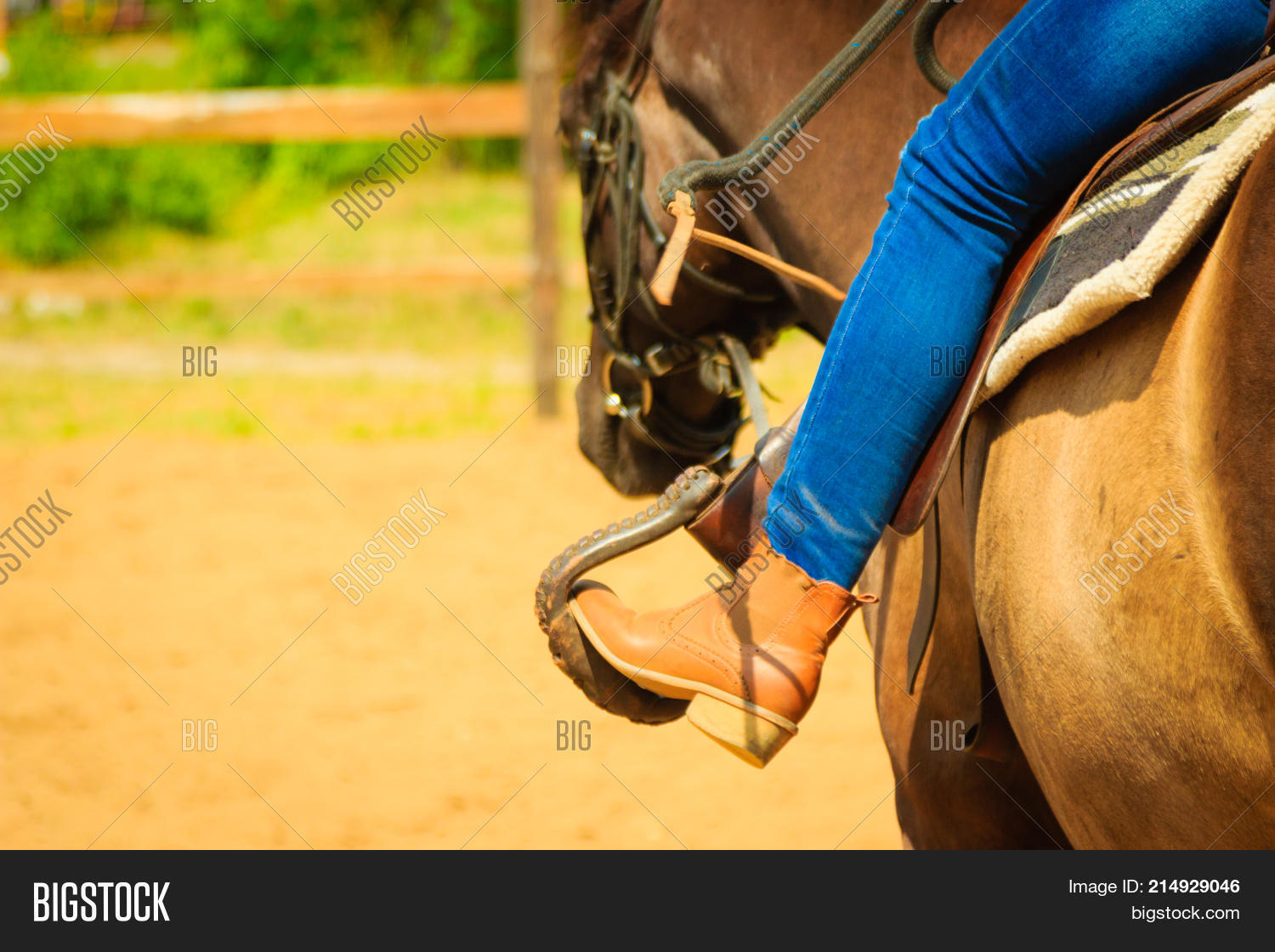 Woman Foot Stirrup On Image & Photo (Free Trial) Bigstock