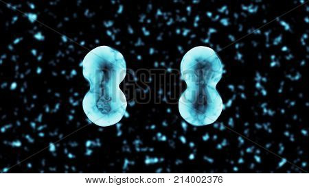 Binary Fission Transparent Cell Division 3D Illustration