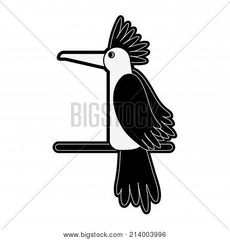 Tucan Bird Cartoon