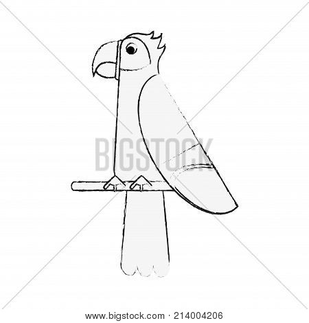 Tucan Bird Cartoon