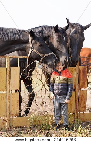 A small cute boy stands near three beautiful black horses. Outdoors.