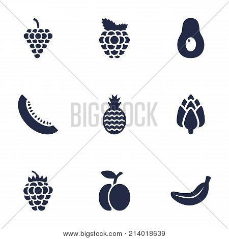 Collection Of Razz, Cantaloupe, Vineyard And Other Elements.  Set Of 9 Food Icons Set.