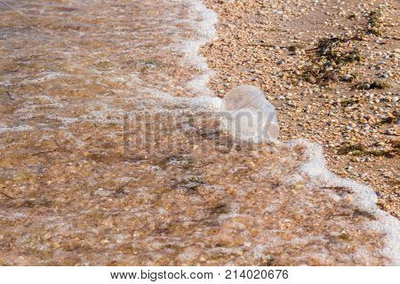 The plastic glass on the beach garbage