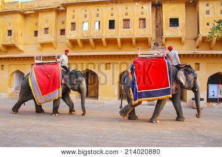 Amber, India - November 13: Unidentified Men Ride Decorated Elephants In Jaleb Chowk In Amber Fort O