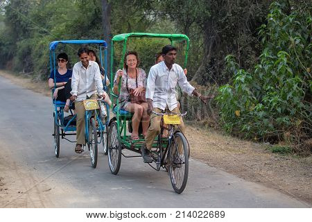 Bharatpur, India - November 11: Unidentified People Ride Cycle Rickshaw In Keoladeo Ghana National P