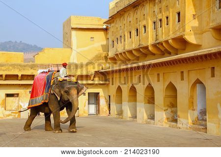 Amber, India - November 13: Unidentified Man Rides Decorated Elephant In Jaleb Chowk In Amber Fort O