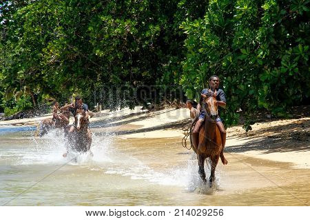 Taveuni, Fiji - November 23: Unidentified Men Ride Horses On The Beach On November 23, 2013 On Teveu