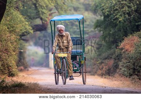 Bharatpur, India - November 11: Unidentified Man Rides Bicycle In Keoladeo Ghana National Park On No