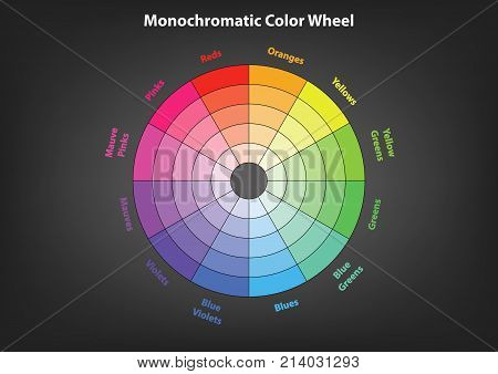 monochromatic color wheel, color scheme theory, vector isolated or grey background